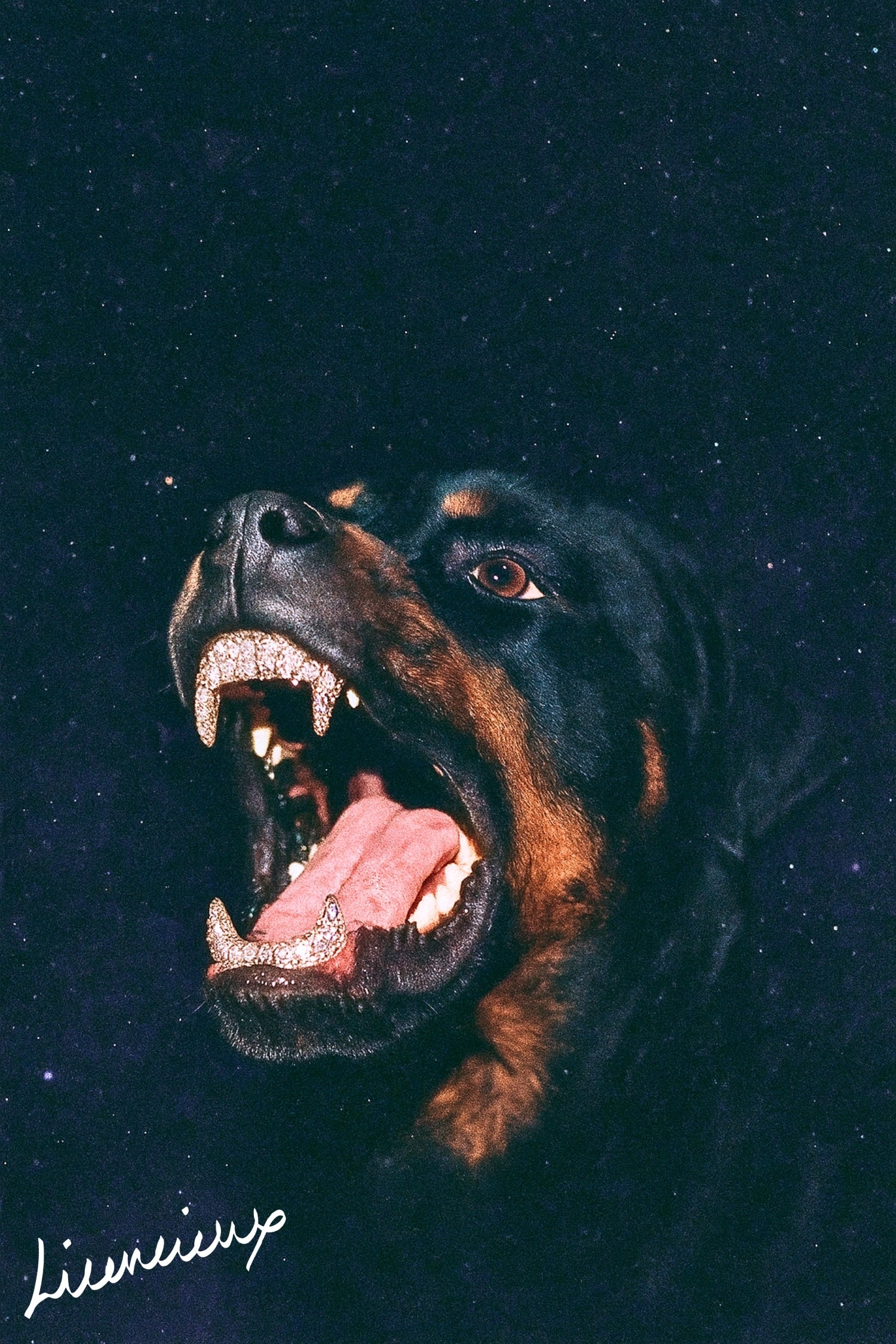 The Sentinel