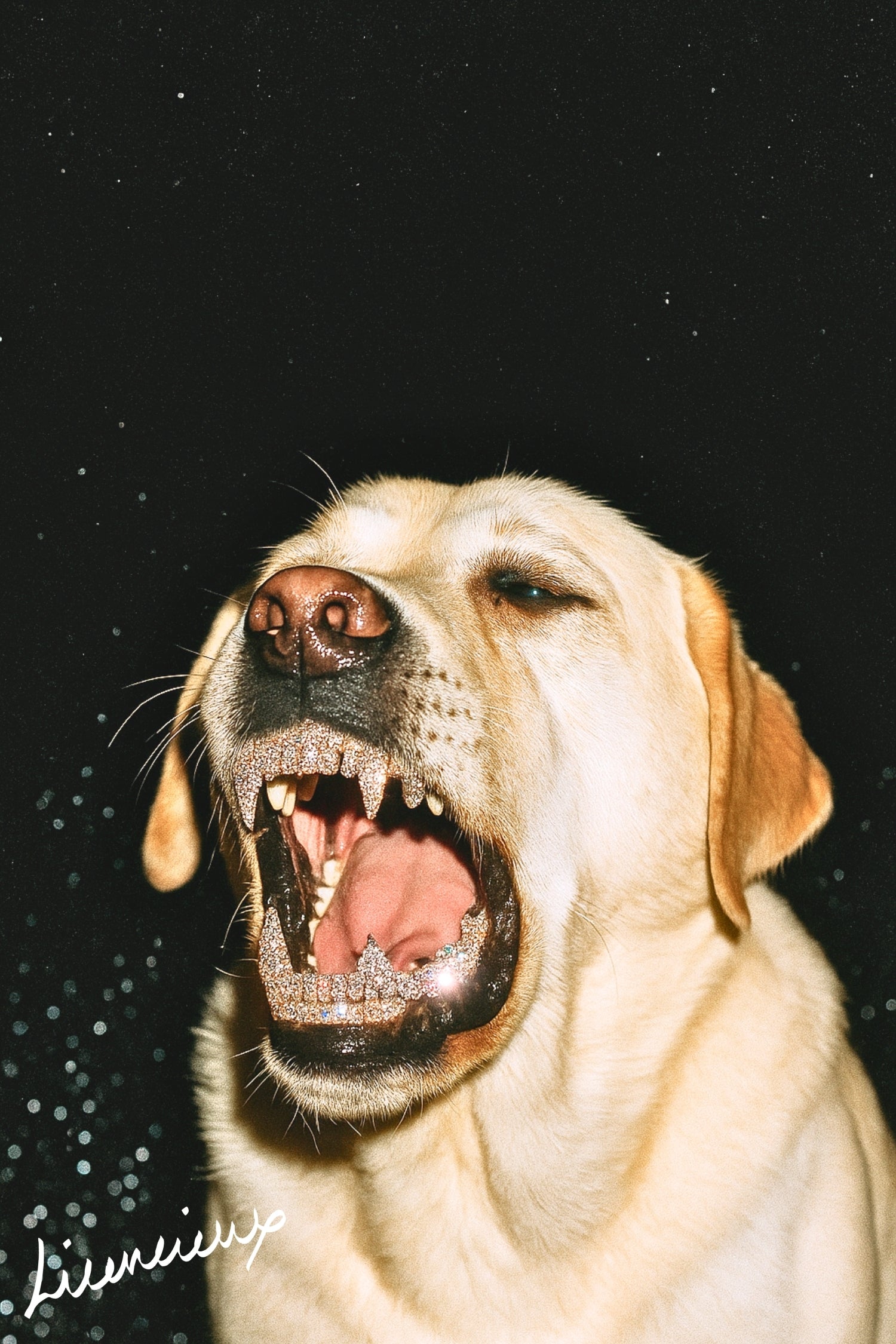The Gentle Threat