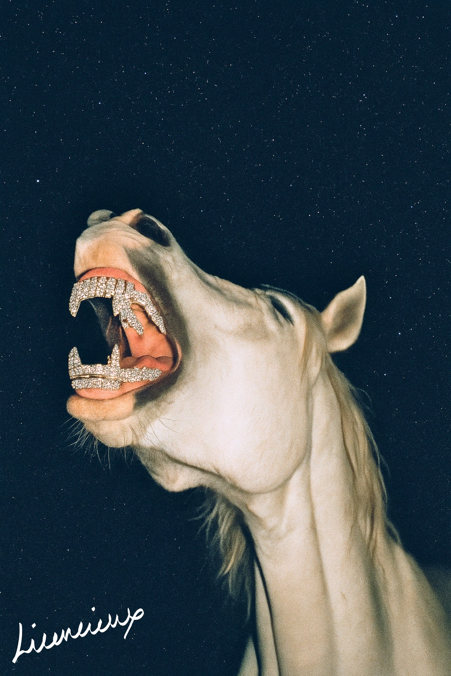 The Thoroughbred