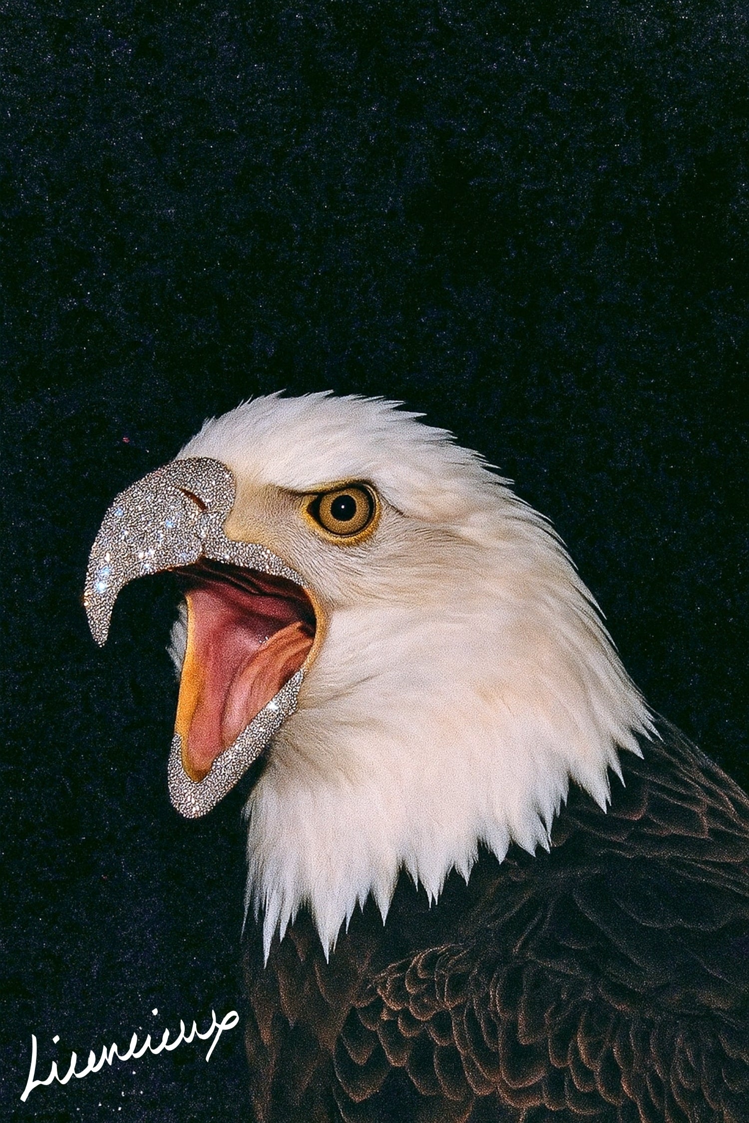 THE SOVEREIGN